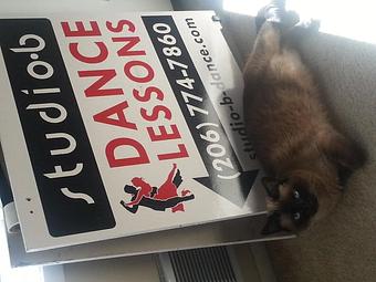 Product - Studio B Dance in Renton/Newcastle/Issaquah - Renton, WA Dance Companies