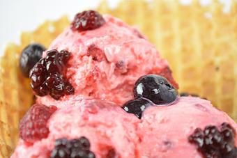 Product - Sub Zero Ice Cream and Yogurt in Alpine, UT Dessert Restaurants