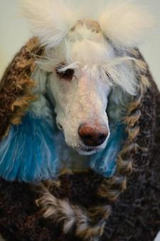 Product - Suds N' Scissors in Amarillo, TX Beauty Salons