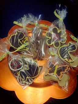 Product - Sudzy Paws in Carterville, IL Pet Boarding & Grooming