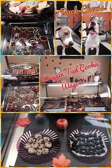 Product - Sudzy Paws in Carterville, IL Pet Boarding & Grooming