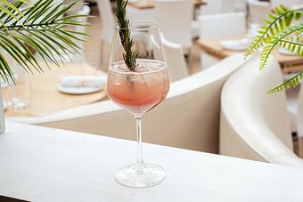 Product: palm fizz - Summer House Santa Monica in Lincoln Park - Chicago, IL American Restaurants