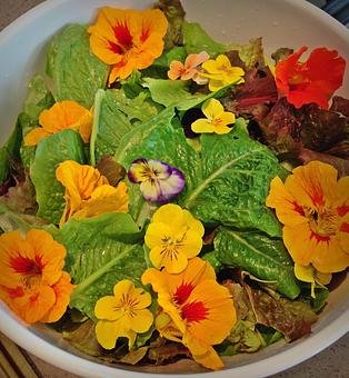 Product: Green Salad with edible Nasturtium and Viola flowers - Supannee House of Thai in San Diego, CA Seafood Restaurants