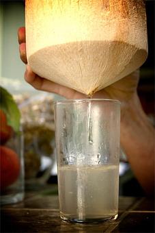 Product - Superfood Bar in New Orleans, LA Vegan Restaurants