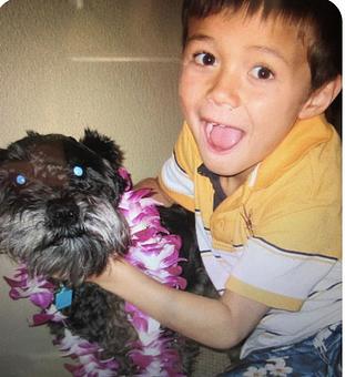 Product: Dog friendly patio - SUR at the Barnyard in The Barnyard Shopping Village - Carmel, CA American Restaurants