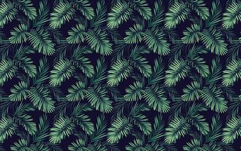 Product - Sweetberry Bowls Montclair in Montclair, NJ Health Food Restaurants