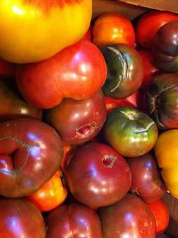 Product: Heirloom tomatoes - Taberna De Haro in Lower Beacon - Brookline, MA Spanish Restaurants