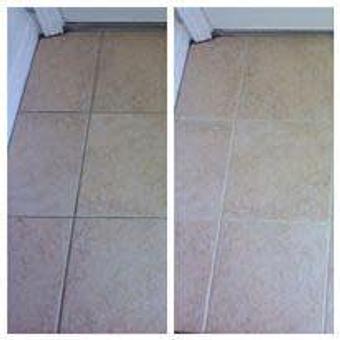 Product - Team Green Carpet Cleaning in Brandon, FL Carpet Rug & Upholstery Cleaners