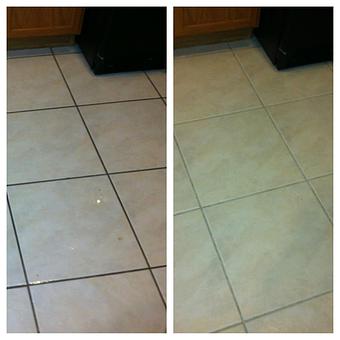 Product - Team Green Carpet Cleaning in Brandon, FL Carpet Rug & Upholstery Cleaners