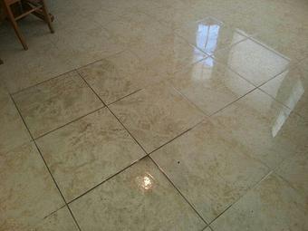 Product - Team Green Carpet Cleaning in Brandon, FL Carpet Rug & Upholstery Cleaners