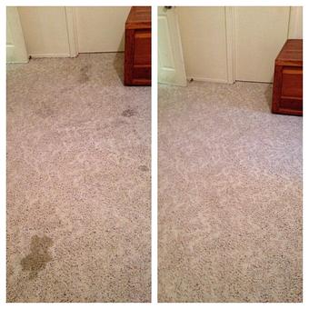 Product - Team Green Carpet Cleaning in Brandon, FL Carpet Rug & Upholstery Cleaners