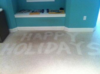 Product - Team Green Carpet Cleaning in Brandon, FL Carpet Rug & Upholstery Cleaners