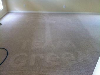 Product - Team Green Carpet Cleaning in Brandon, FL Carpet Rug & Upholstery Cleaners