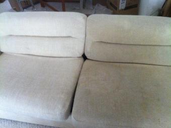 Product - Team Green Carpet Cleaning in Brandon, FL Carpet Rug & Upholstery Cleaners