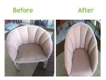 Product - Team Green Carpet Cleaning in Brandon, FL Carpet Rug & Upholstery Cleaners