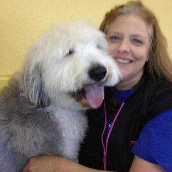 Product - Temecula Pet Salon in Temecula, CA Pet Boarding & Grooming