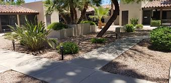 Product - Tempe Holistic Skin Care in Shalimar - Tempe, AZ Skin Care Products & Treatments