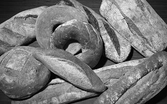 Product - Terranova Bakery in Bronx, NY Bakeries