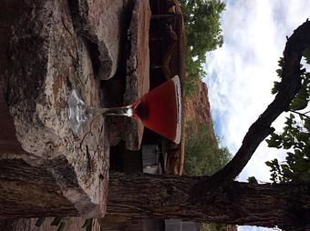 Product - The Atomic in Moab, UT Hamburger Restaurants