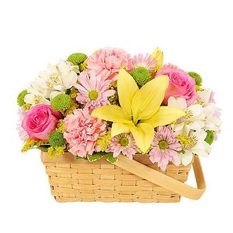 Product - The Ballroom Florist of Broussard in Broussard, LA Halls, Auditoriums & Ballrooms Rental