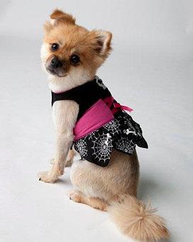 Product - The Barker Lounge in Alpharetta, GA Drinking Establishments