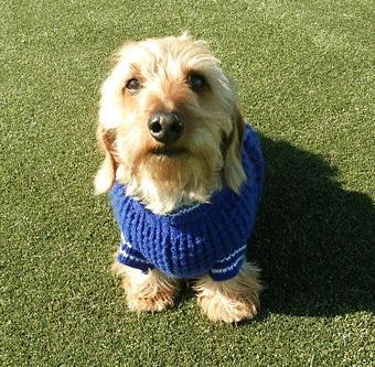 Product - The Barker Lounge in Alpharetta, GA Drinking Establishments