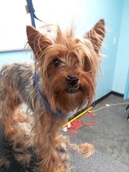 Product - The Barker Lounge in Alpharetta, GA Drinking Establishments