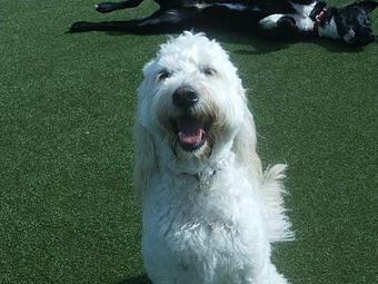 Product - The Barker Lounge in Alpharetta, GA Drinking Establishments