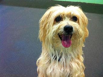 Product - The Barker Lounge in Alpharetta, GA Drinking Establishments