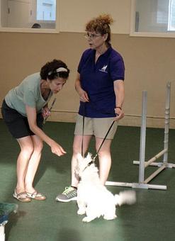Product: We have a variety of Training Options with Val. - The Barking Dog, in Derry, NH Pet Boarding & Grooming