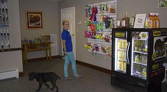 Product - The Barking Dog, in Derry, NH Pet Boarding & Grooming