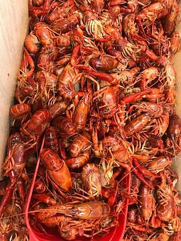 Product - The Catch Seafood & Steaks in Center, TX Seafood Restaurants