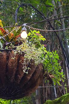 Product - The Courtyard Grill at Bourbon Heat in French Quarter - New Orleans, LA Bars & Grills