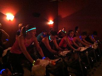 Product - The Cycling Yogi in Lakewood, CO Motorcycles