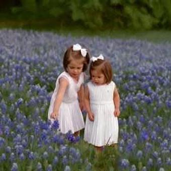 Product - The Eldridge House Fine Photography in Red Oak, TX Misc Photographers