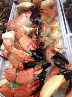 Product: Florida delicacy - The Fish House in Miami, FL Seafood Restaurants