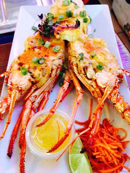 Product: Stuffed with shrimp Parmesan topping - The Fish House in Miami, FL Seafood Restaurants