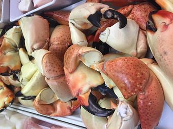 Product: Fresh Florida Delicacy - The Fish House in Miami, FL Seafood Restaurants