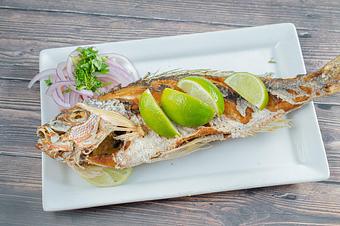 Product: Yellowtail Snapper - The Fish House in Miami, FL Seafood Restaurants