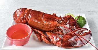 Product - The Fish House in Miami, FL Seafood Restaurants