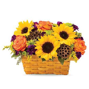 Product - The Flower Box P in Peoria, IL Florists