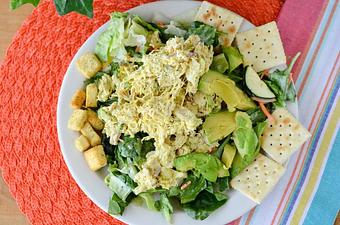 Product - The Galveston Island Jungle Cafe in Galveston, TX American Restaurants