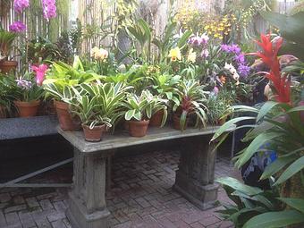 Product - The Garden Trug in Tulsa, OK Nurseries & Garden Centers