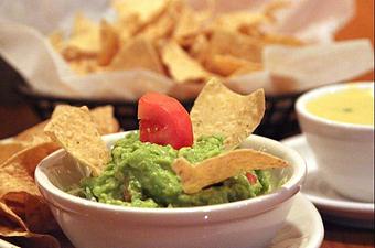 Product - The Grasshopper Mexican Restaurant & Bar in Gulf Gate - Sarasota, FL Mexican Restaurants