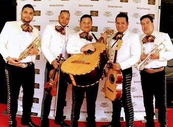 Product - The Grasshopper Mexican Restaurant & Bar in Gulf Gate - Sarasota, FL Mexican Restaurants