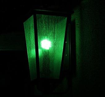 Product - The Green Lantern in San Antonio, TX Bars & Grills