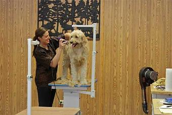 Product - The Grooming Lodge in Long Grove, IL Cabins Cottages & Chalet Rental