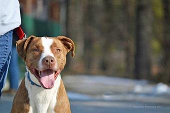 Product - The Grooming Post in Attleboro, MA Motion Picture Pre & Post Production Services