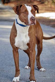 Product - The Grooming Post in Attleboro, MA Motion Picture Pre & Post Production Services