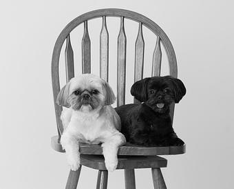 Product - The Henry Studio in Downtown - Holliston, MA Misc Photographers